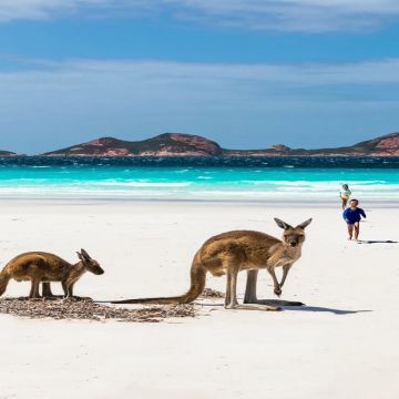 kangaroo Islands 