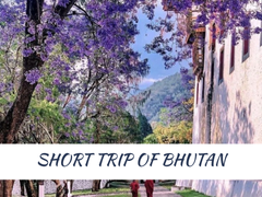 SHORT TRIP OF BHUTAN 