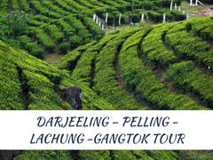 DARJEELING – PELLING - LACHUNG -GANGTOK TOUR PACAKGE