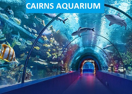 Cairns Aquarium