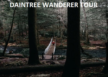 Daintree Wanderer Tour 