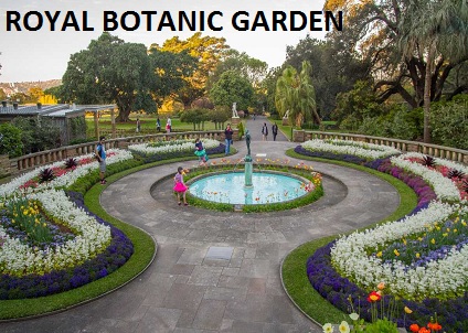 The Royal Botanic Garden 
