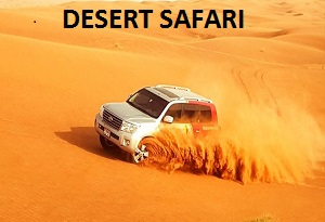 DESERT SAFARI