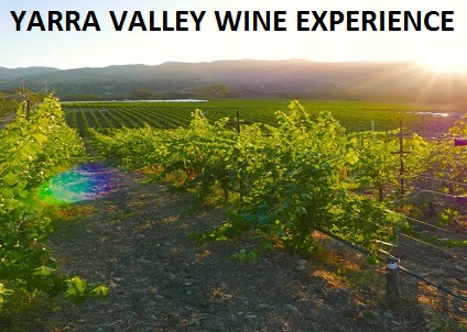 Yarra Valley Wine Experience 