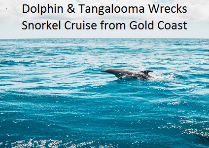 Dolphin & Tangalooma Wrecks Cruise
