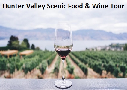 Hunter Valley Wine Tour 