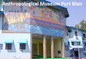 Anthropological Museum 