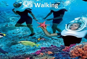 Underwater Sea Walking