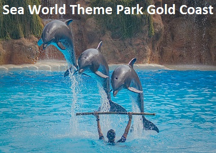 Sea World Theme Park