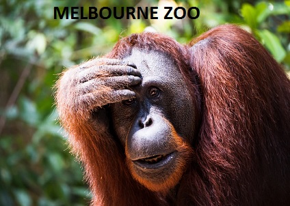 Melbourne Zoo