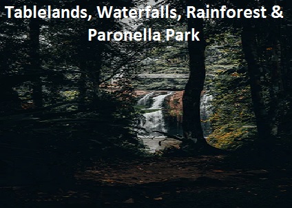 Northern Experience Eco Tours 