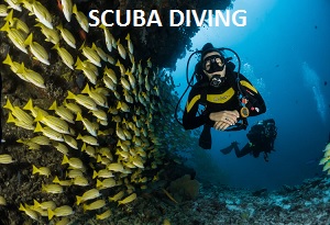 Scuba diving in Andaman