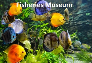 Fisheries Museum Port Blair