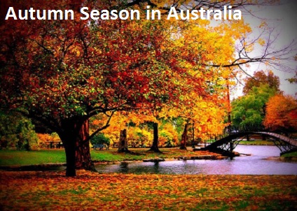 Autumn Season