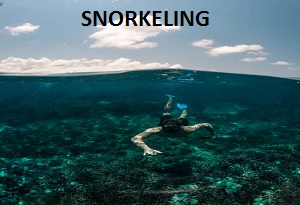 Snorkeling in Andaman Islands 